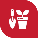 Planting & Garden Design
